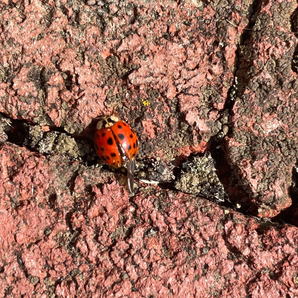 Meet your Posher, Tessa